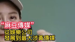 麻豆传媒涉黄团伙被一锅端，起底麻豆传媒的“发展史”