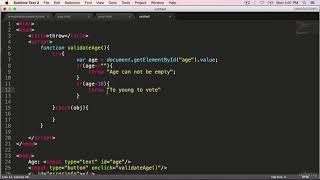 JavaScript Throwing Custom Errors