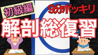 短時間！解剖総復習初級編です。模試や試験の直前に。救急救命士国家試験対策