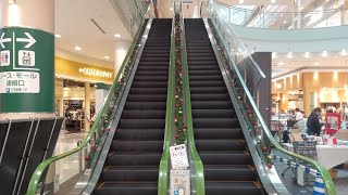 イオンモール橿原アルル クリスマス仕様エスカレーター（サンシャインコート側）#エスカレーター #クリスマス