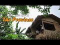 Harvesting Marang Fruit & Nag luto ako ng Sit&fun | Life in Province | Buhay Probinsya mga Lods