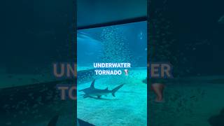 Underwater Tornado🐠🌪️ #tornado #storm #shorts