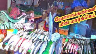 வேளாங்கண்ணி மீன் மார்க்கெட்//velankanni fish bigmarket அனைத்து வகையான மீன்களும் கிடைக்கும் ஒரே இடம்.