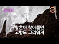 나그네 설움 백년설 그리운시절 · 그리운 노래