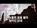 나그네 설움 백년설 그리운시절 · 그리운 노래