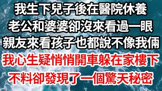 我生下兒子後在醫院休養，老公和婆婆卻沒來看過一眼，親友來看孩子也都說不像我倆，我心生疑悄悄開車躲在家樓下，不料卻發現了一個驚天秘密【倫理】【都市】