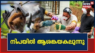 Nipah Virus Kerala | നിപയിൽ  ആശങ്കയകലുന്നു ; 61 പേരുടെ ഫലങ്ങൾ നെഗറ്റീവ് ആയി