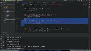 5 of 5 - Java OO Basics - Overloaded Methods