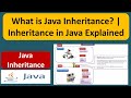 What is Java Inheritance? | Inheritance in Java Explained | Java Tutorial