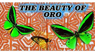 The beauty of Oro province