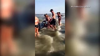 Georgia beachgoers help pilot whales stranded on shore