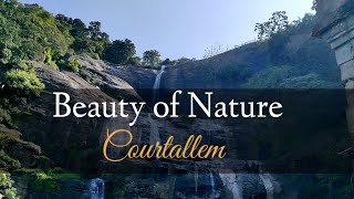 Courtallam Falls | Beauty of nature | Small trip time moments