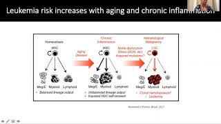 Sphingosine-1-phosphate signaling modulation for the treatment of acute myeloid leukemia (AML)