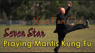 Kung Fu Training at home 2020: Shaolin Seven Star Praying Mantis Kung Fu - Xiao Fan Che – Lesson 1