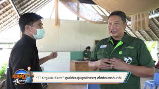 “TT Organic Farm” ศูนย์เรียนรู้ปลูกผักง่ายๆ สไตล์เกษตรอินทรีย์