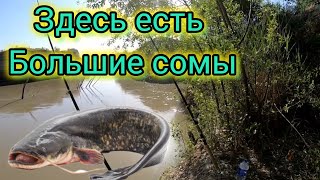ЗДЕСЬ ЕСТЬ БОЛЬШИЕ СОМЫ