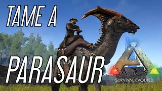 How to Tame a Parasaur