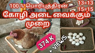 கோழி அடை வைக்கும் முறை | Incubation method 100% result