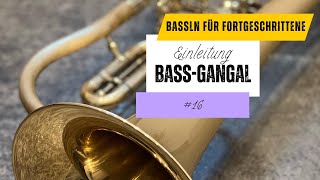 Bassln für Fortgeschrittene - Einleitung Bass-Gangal - Was musst Du wissen?