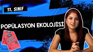 34) POPÜLASYON EKOLOJİSİ | 11. SINIF | AYT BİYOLOJİ DERS NOTLARI 2024