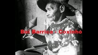 Boizinho Barrica - Coxinho