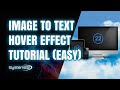 Divi Theme: Image to Text HOVER EFFECT Tutorial (EASY) 👍