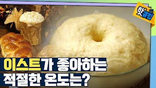 [핫클립] 맛있는 빵의 비밀 - 이스트 / YTN 사이언스