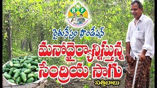 సేంద్రీయ సాగులో స్ఫూర్తి  | SUCCESS STORY OF ORGANIC FARMER Satti Babu