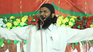 Shohrab Quadri | Naat e Paak | Dayar e Madina Conference | Muradpur Maniyari Muzaffarpur