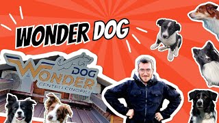 WONDER DOG - CENTRO CINOFILO