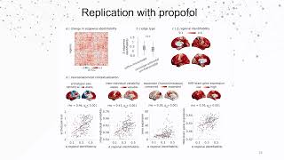 OHBM 2024 | Oral Session | Andrea Luppi |  General anaesthesia reduces the uniqueness of brain con…