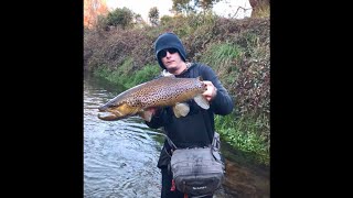 Trout Fishing Rotorua NZ