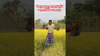 উদাস দুপুর বেলা সখি আসবে কি একেলা।