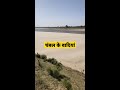 ये है चंबल और चंबल की बदियां चंबल का शानदार नजारा चंबल सेंचुरी chambal century chambal river