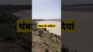 ये है चंबल और चंबल की बदियां | चंबल का शानदार नजारा | चंबल सेंचुरी | Chambal Century | Chambal River