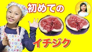 お料理ごっこでみこちゃん初めての「生イチジク」を食べてみた！　しつけ　食育　小学二年生　ママコラボ#95