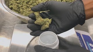 Medical marijuana could soon be available at your local Georgia pharmacy