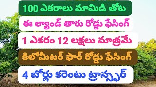 100 ఎకరాలు 1 ఎకరం 12 లక్షలు మామిడి కాయ తోట ల్యాండ్ ఫర్ సేల్ please subscribe 🙏