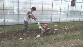 霧峰區溫室CY80 1米5馬10聯刀 超硬土質鬆土Hand tractor tilling in greenhouse (hard soil) 中耕機