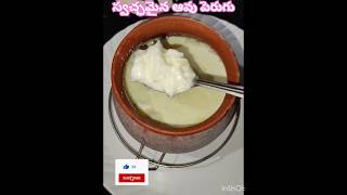 స్వచ్ఛమైన ఆవు పెరుగు/original and pure curd