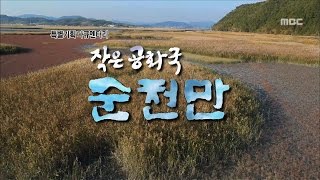 작은 공화국 순천만 #1 (여수MBC 특별기획 다큐)