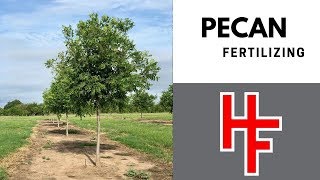 Pecan Fertilizing