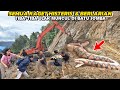 When the Cliff is Dismantled, Suddenly a Snake Appears on Batu Jomba