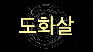 도화살 (ft. 홍염/자묘형/묘오파/자유귀문/자유파)