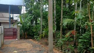 6 cent Plot for sale at Kozhukully, Thrissur,