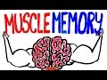 Muscle Memory Explained