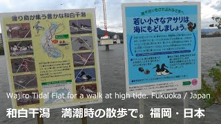 和白干潟　満潮時の散歩で。福岡・日本Wajiro Tidal Flat for a walk at high tide. Fukuoka / Japan