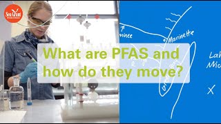 What are PFAS and how do they move in the environment?