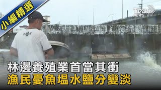 林邊養殖業首當其衝 漁民憂魚塭水鹽分變淡｜TVBS新聞 @TVBSNEWS02