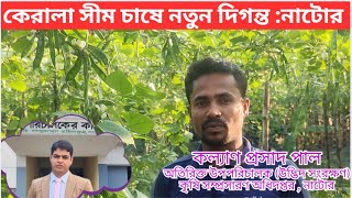 কেরালা সীম চাষে বাজিমাত/নাটোর/ Kerala Bean Cultivation at Natore/2024